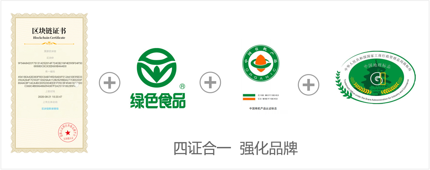 圖片18.jpg/