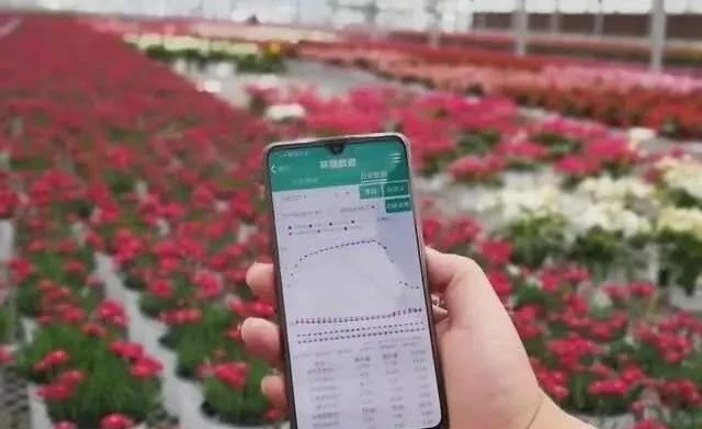 微信圖片_20200929142948.jpg