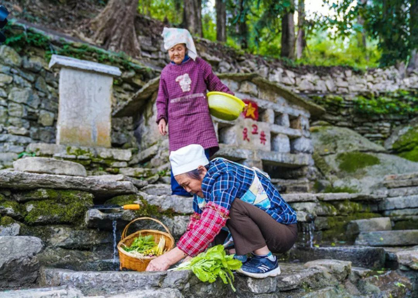 恩源/