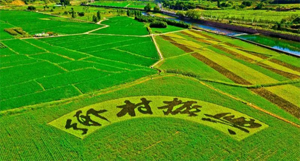 恩源/